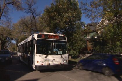 16-local-groups-endorse-city-planning-expert-letter-criticizing-winnipeg-transit-overhaul