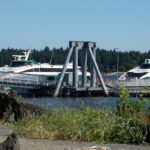 hullo-ferries-vessel-struck-humpback-near-vancouver:-dfo