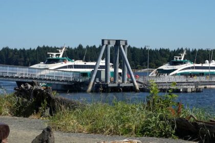 hullo-ferries-vessel-struck-humpback-near-vancouver:-dfo
