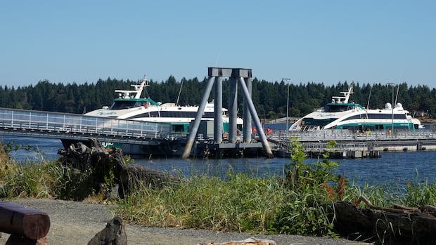 hullo-ferries-vessel-struck-humpback-near-vancouver:-dfo