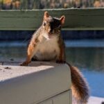fall-friends:-enjoy-these-photos-from-around-new-brunswick