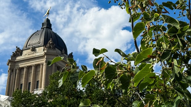 manitoba-government-taking-longer,-charging-more-for-freedom-of-information-requests:-report
