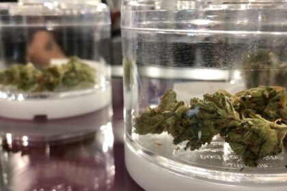 cannabis-revenue-outsmokes-liquor-sales-in-manitoba-when-it-comes-to-revenue-growth