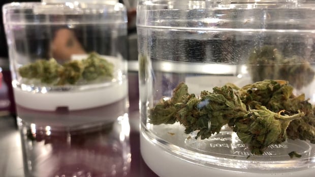 cannabis-revenue-outsmokes-liquor-sales-in-manitoba-when-it-comes-to-revenue-growth