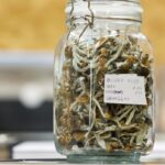 could-‘microdosing’-psilocybin-help-people-with-anxiety?-this-study-aims-to-find-out