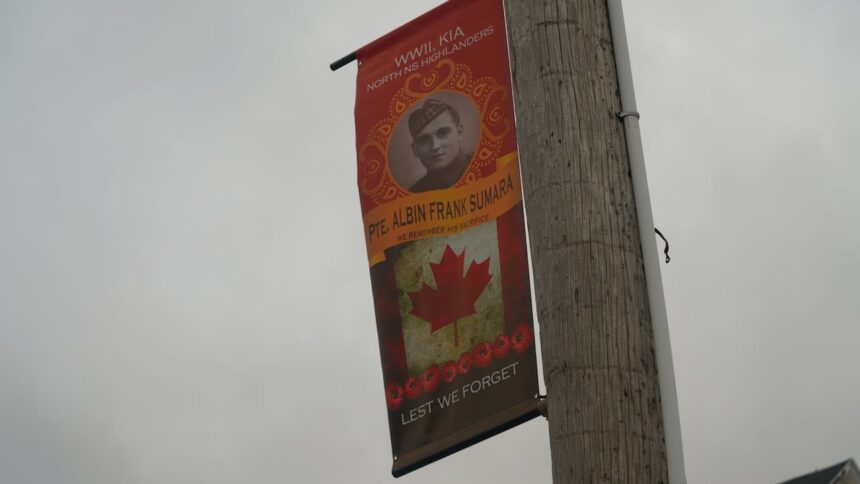 portraits-of-more-than-140-veterans-line-springhill-streets