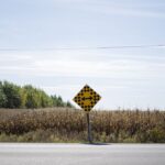how-plans-for-a-sprawling-subdivision-near-ottawa’s-greenbelt-are-dividing-the-city