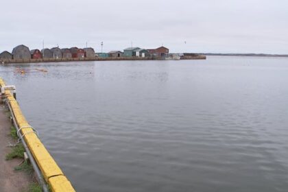 pei.’s-malpeque-harbour-impassible-after-dfo-skipped-fall-dredging,-fishermen-say