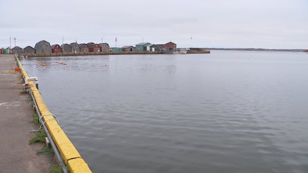 pei.’s-malpeque-harbour-impassible-after-dfo-skipped-fall-dredging,-fishermen-say