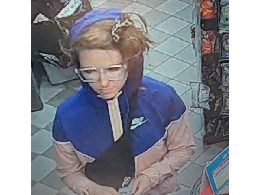 rcmp-seeks-publics-help-to-identify-motorist-who-fled-from-police