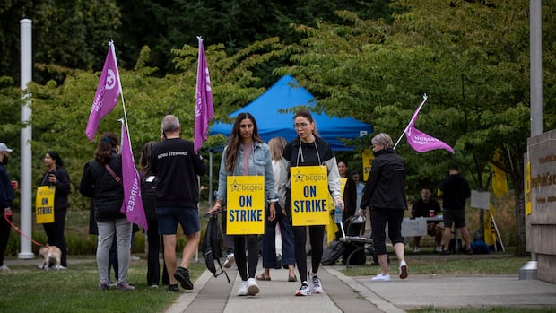 mediation-between-the-bcgeu-and-province-has-begun.-what-does-that-mean?