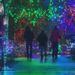 $25-parking-fee-coming-for-vandusen-festival-of-lights-in-2026