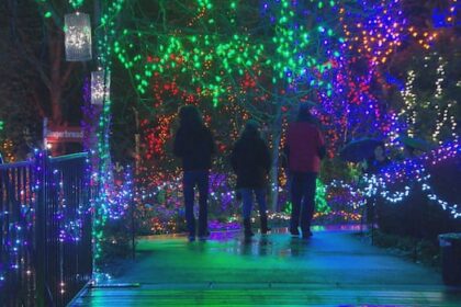 $25-parking-fee-coming-for-vandusen-festival-of-lights-in-2026