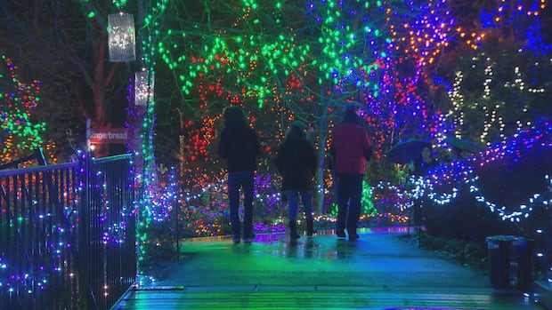 $25-parking-fee-coming-for-vandusen-festival-of-lights-in-2026