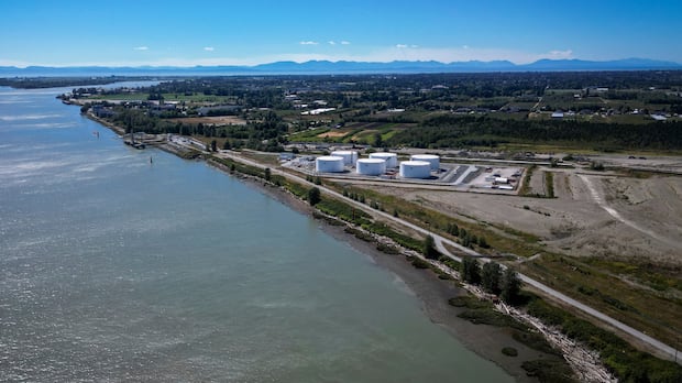 why-uncertainty-over-end-result-of-cowichan-tribes-case-invites-plenty-of-speculation