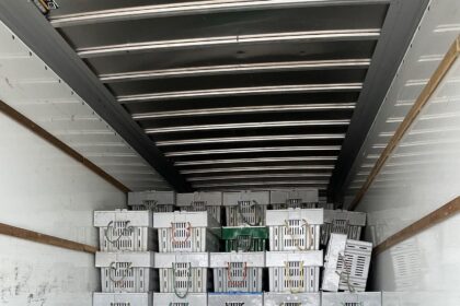 dfo-makes-sizable-lobster-busts-in-southwest-nova-scotia,-netting-plants-and-buyers