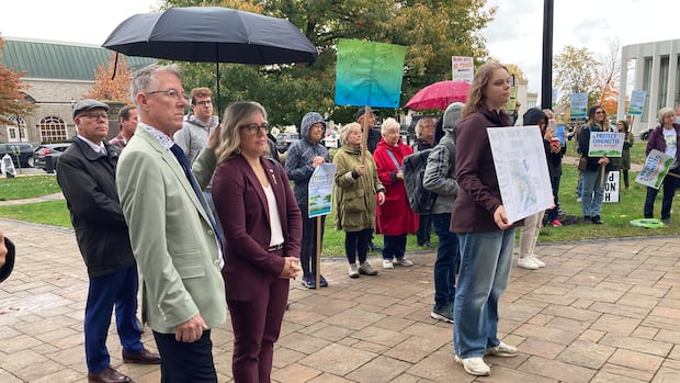 holt-lays-out-legislative-agenda,-has-questions-about-gas-plant