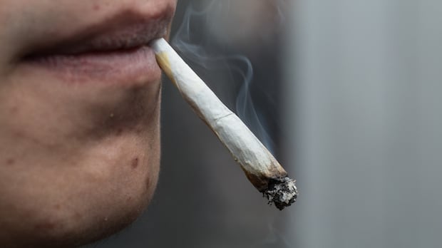 foster-home-fined-$35k-for-giving-cannabis-to-kids-in-care,-charges-against-owners-stayed