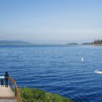nova-scotia-approves-lease-for-whale-sanctuary-project