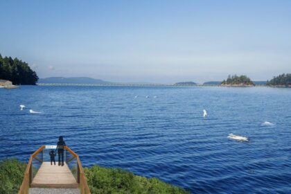 nova-scotia-approves-lease-for-whale-sanctuary-project