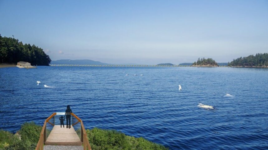 nova-scotia-approves-lease-for-whale-sanctuary-project