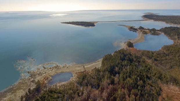 nova-scotia-grants-crown-land-lease-for-would-be-whale-sanctuary