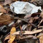 push-for-‘child-safety-zones’-in-kingston-parks-hits-hurdles-at-council