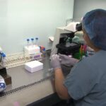 advocates-call-for-more-local-services-for-islanders-facing-fertility-challenges