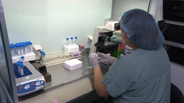 advocates-call-for-more-local-services-for-islanders-facing-fertility-challenges