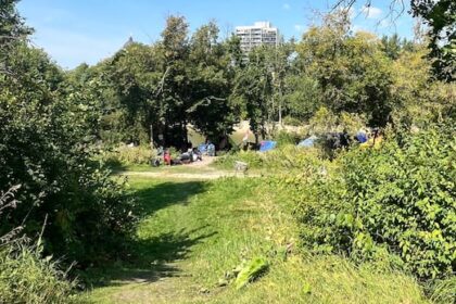 no-charges-recommended-for-officer-who-ran-over-woman-in-winnipeg-park:-police-watchdog