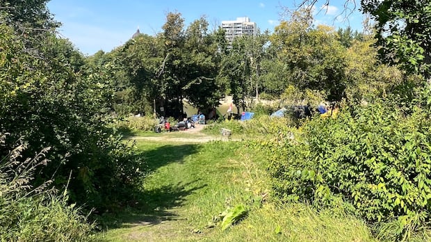 no-charges-recommended-for-officer-who-ran-over-woman-in-winnipeg-park:-police-watchdog
