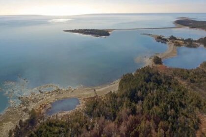 nova-scotia’s-would-be-whale-sanctuary-is-one-step-closer-to-reality