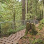 tourist-survives-30m-plunge-off-cliff-at-popular-north-vancouver-park:-rcmp