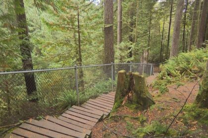 tourist-survives-30m-plunge-off-cliff-at-popular-north-vancouver-park:-rcmp