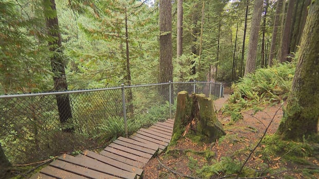 tourist-survives-30m-plunge-off-cliff-at-popular-north-vancouver-park:-rcmp
