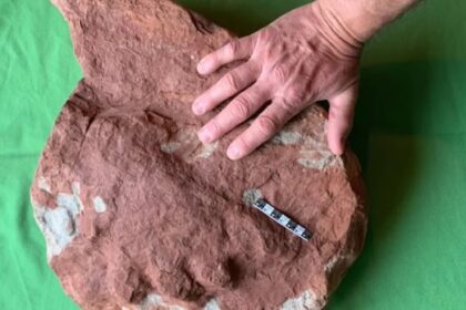 big-find-on-a-small-island:-‘remarkable’-fossil-footprint-discovered-on-pei.