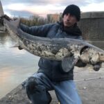 winnipegger-hooks-‘dinosaur’-sturgeon-from-red-river-near-the-forks