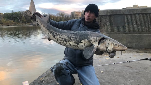 winnipegger-hooks-‘dinosaur’-sturgeon-from-red-river-near-the-forks