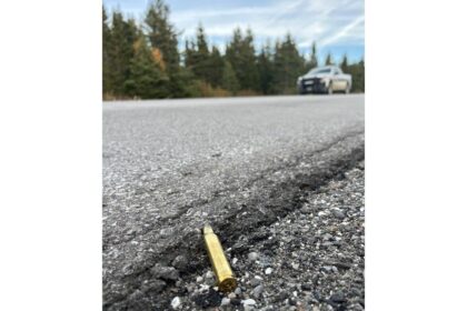 public-help-sought-to-solve-cases-of-illegal-big-game-hunting,-incidents-of-poaching-in-nl