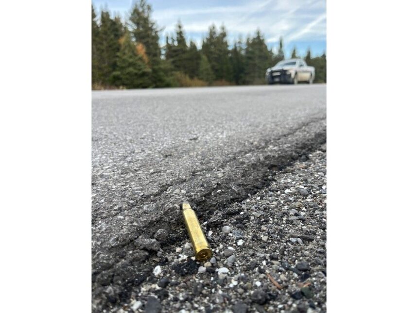 public-help-sought-to-solve-cases-of-illegal-big-game-hunting,-incidents-of-poaching-in-nl