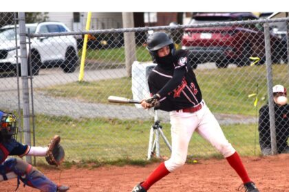 nighthawks-fall-in-provincial-baseball-final