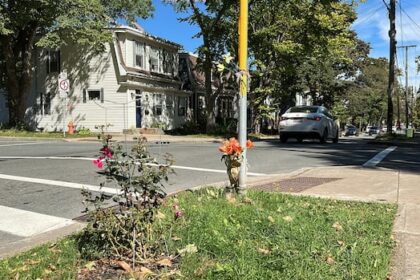 halifax-sees-major-jump-in-road-deaths-in-2025