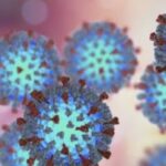 measles-outbreak-in-northern-nova-scotia-declared-over