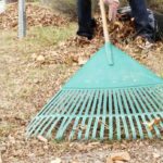 winnipeg-curbside-yard-waste-collection-ending-for-the-season