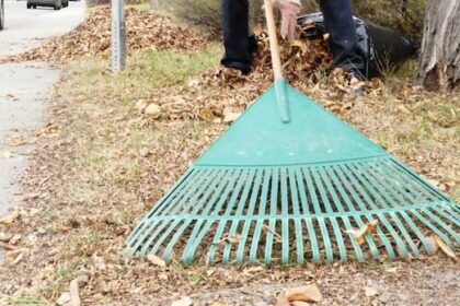 winnipeg-curbside-yard-waste-collection-ending-for-the-season