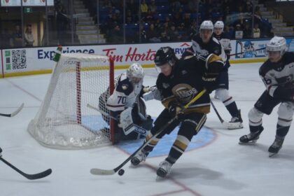 will-shields-raises-game-in-third-season-with-charlottetown-islanders