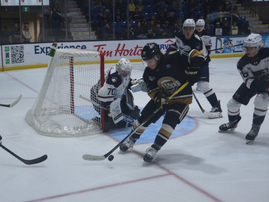 will-shields-raises-game-in-third-season-with-charlottetown-islanders