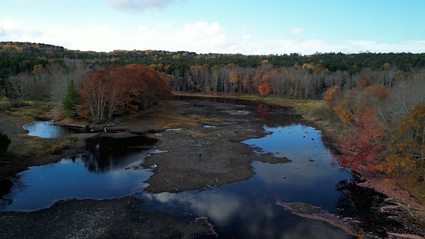 why-the-coming-weeks-are-pivotal-for-the-ongoing-drought-in-the-maritimes