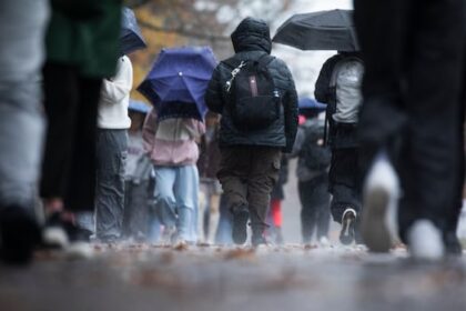 rain,-wind-warnings-issued-for-much-of-bc.-as-up-to-140-mm-forecast