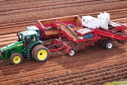 potato-growers-adding-irrigation-after-drought-shrunk-the-2025-crop-in-pei.